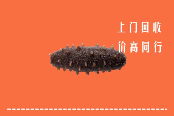 福州高价回收海参